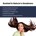Ginseng Hair Food Ayurvedic Hair Growth Pack - panchtattvashop