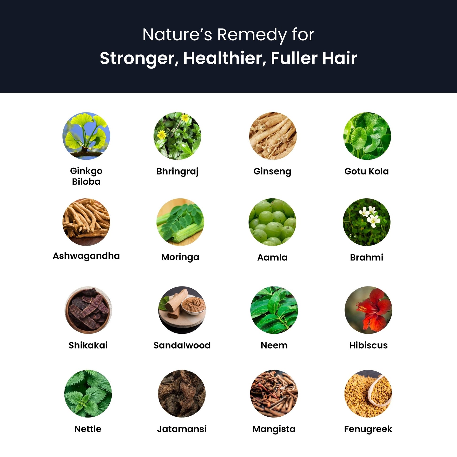 Ginseng Hair Food Ayurvedic Hair Growth Pack - panchtattvashop