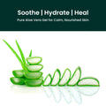 Pure Aloe Vera Gel - panchtattvashop